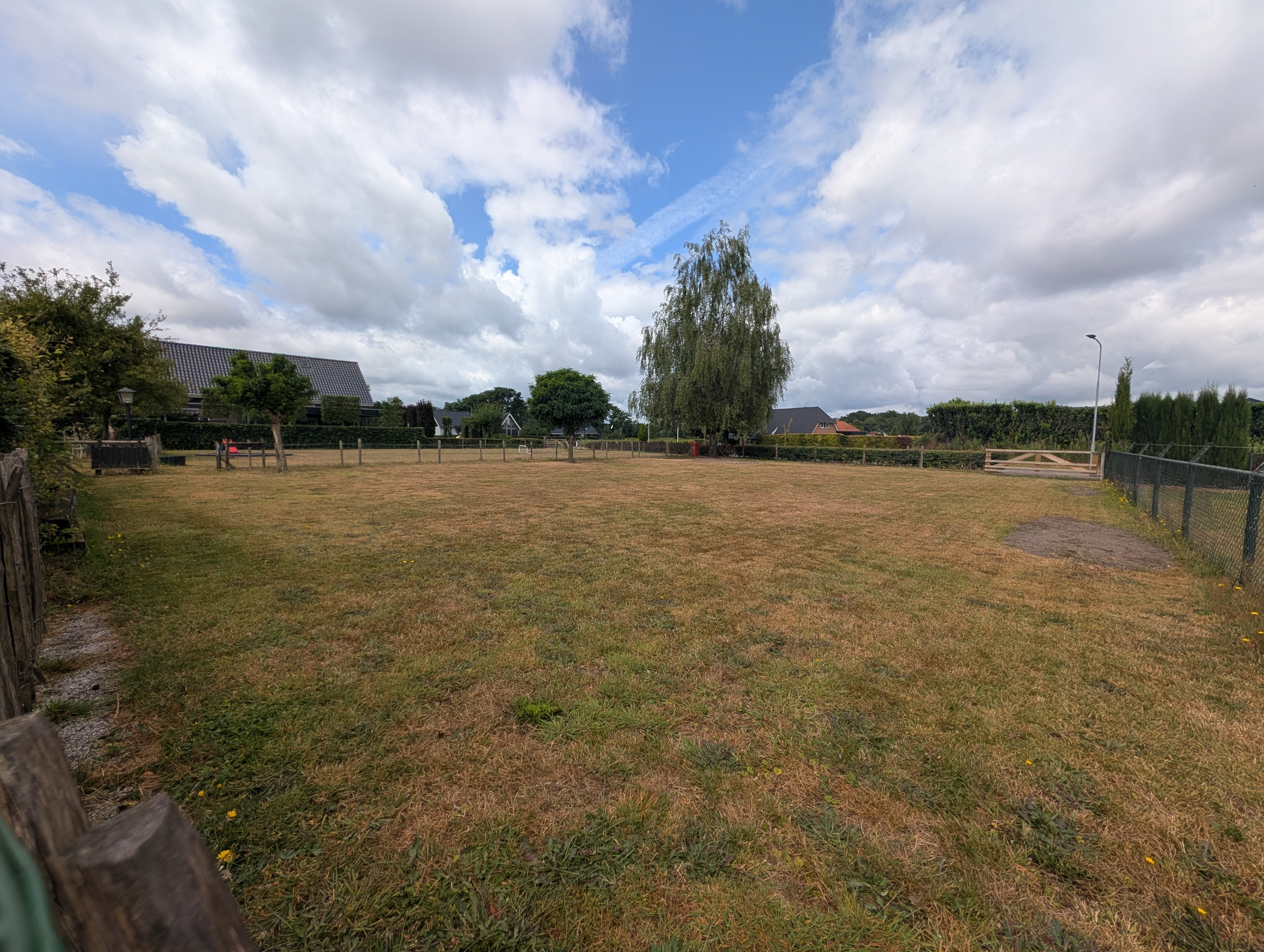 Het goudgele gras van de savanne